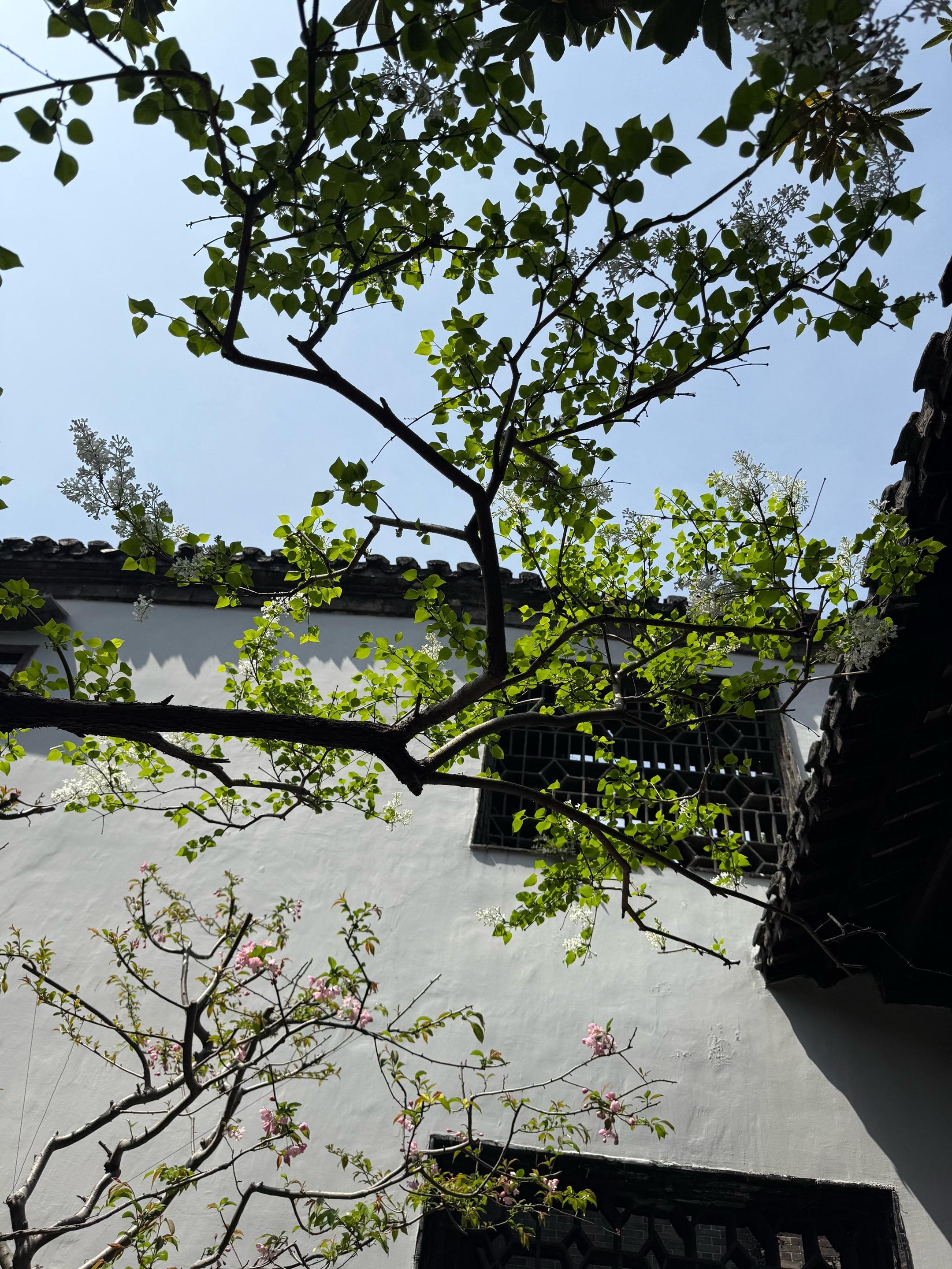 心宽无烦恼 心好命就好
