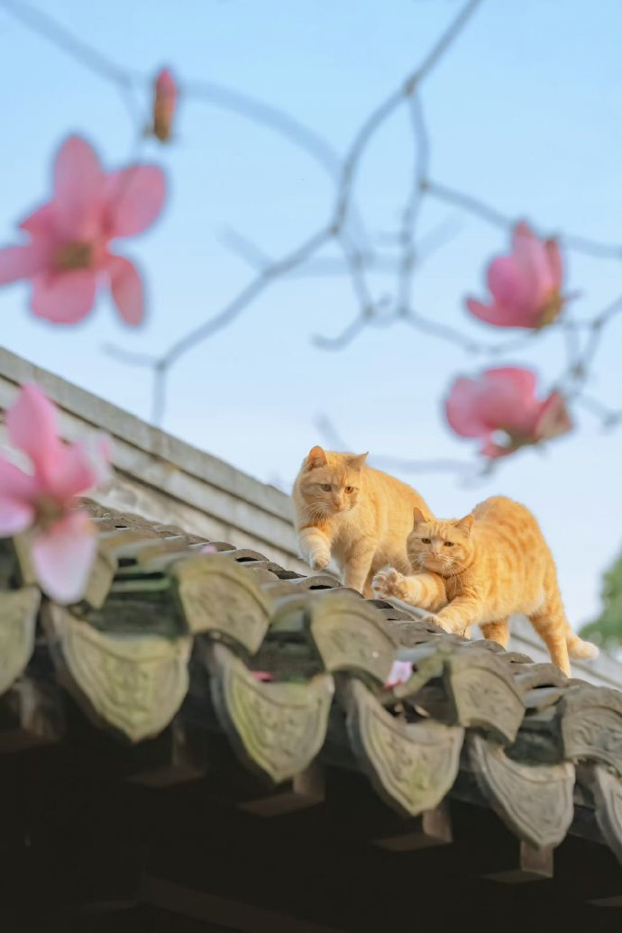 我们所在的这个世界，是人所可能拥有的、最好的一个世界。——莱布尼茨 