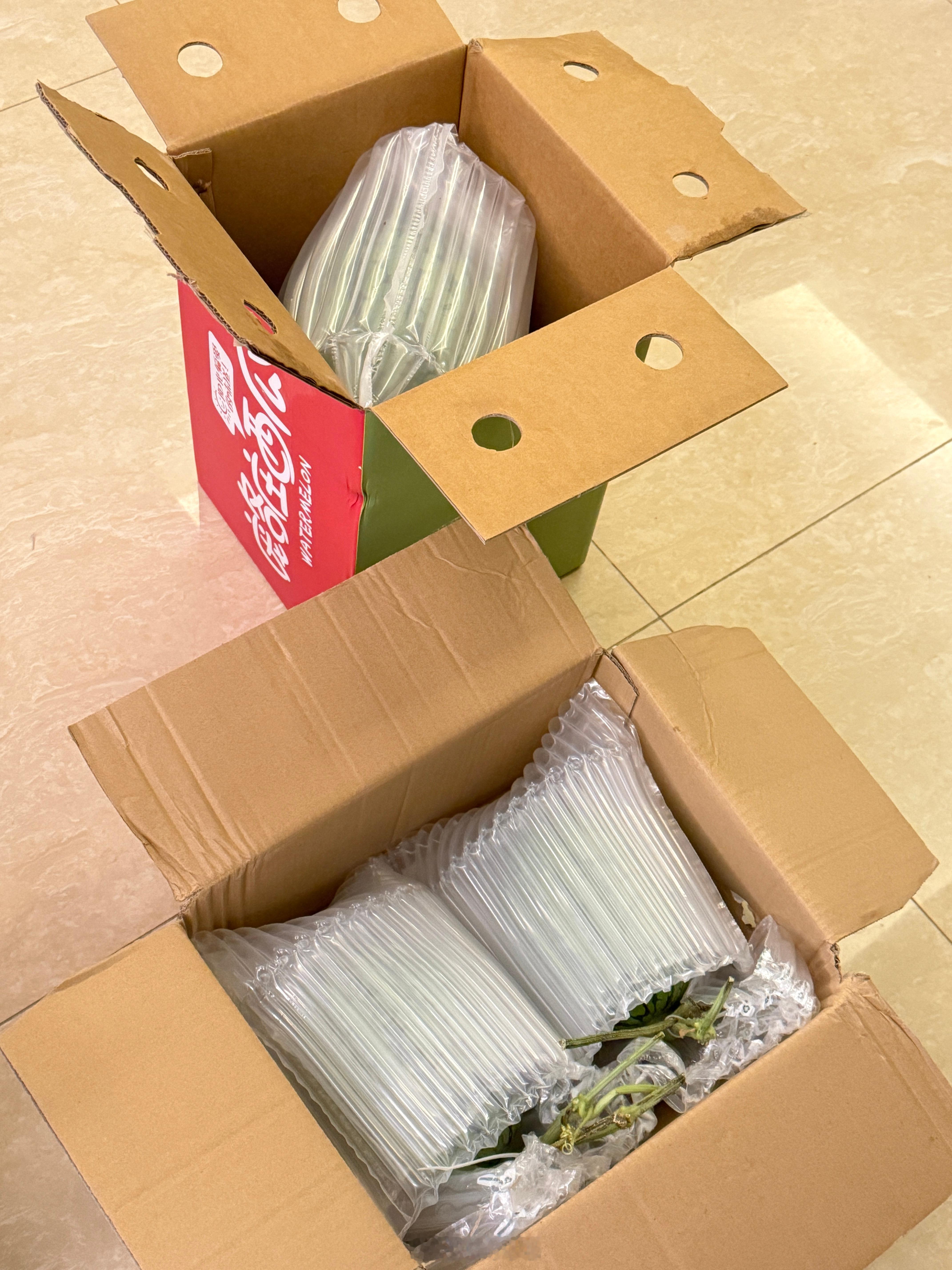 真是喷了旅蛙把球宝的庞各庄西瓜吃了以后我不信他会再买于是我买了没想到哥居然还真的