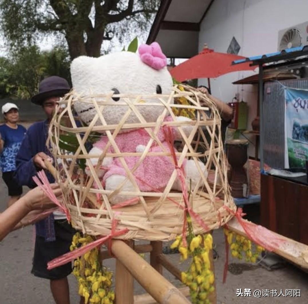 外国连求神都消费降级了！
下图是泰国最新的祈雨仪式！
以前都是活猫，
现在竟然用