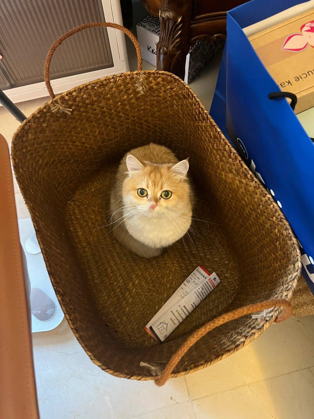 31w待产宝妈双十一买了啥？