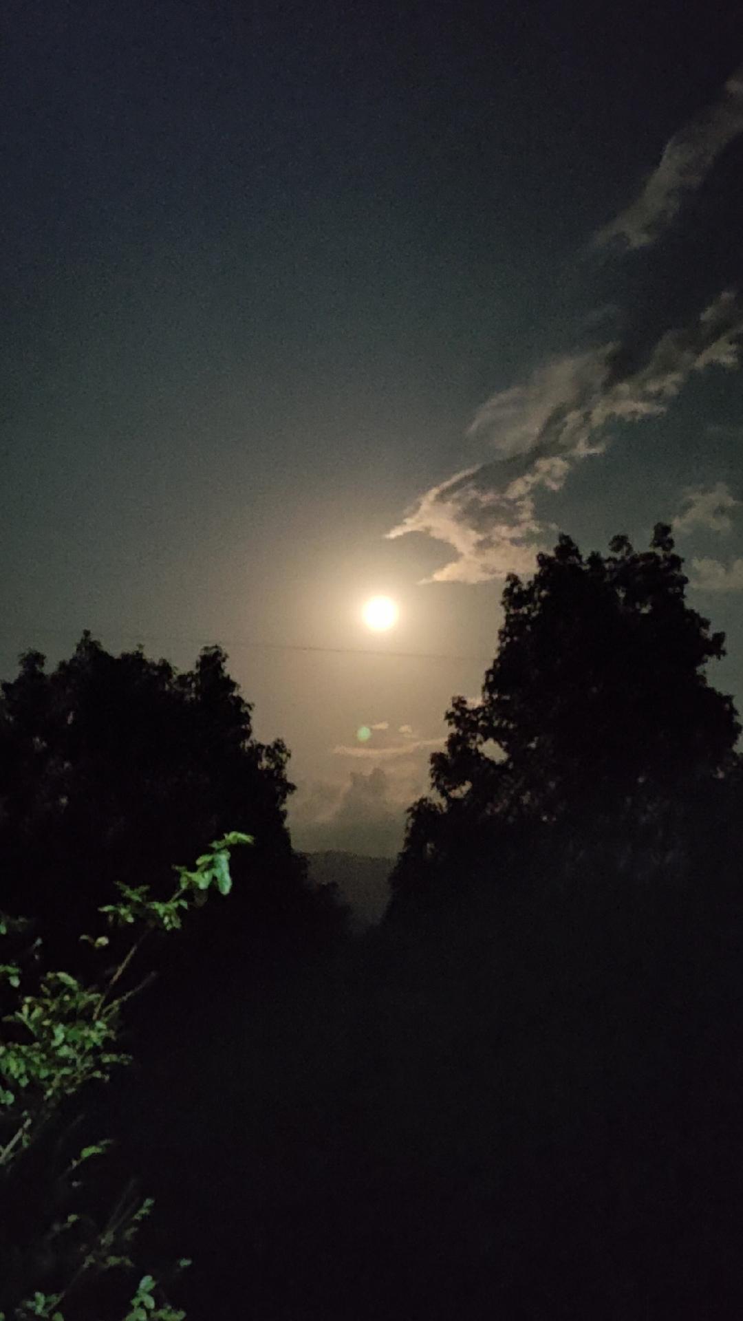 谁能为这幅图取个名字？抖音华彩追月夜