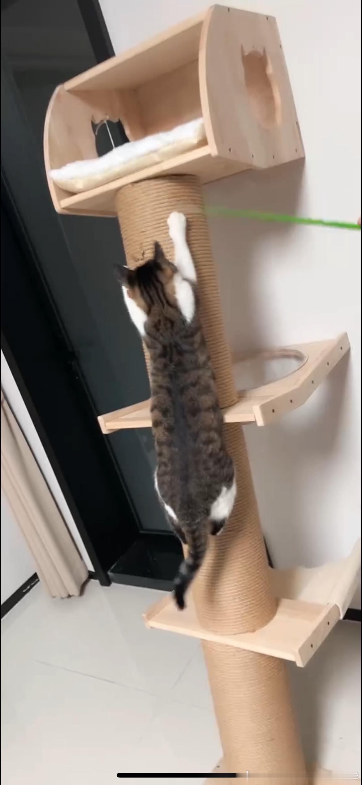 买了 
