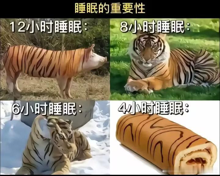 3872每天睡了七八个小时的我，却只有四个小时的睡眠质量 