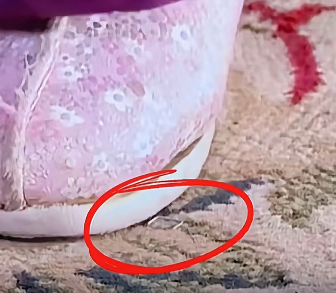 哈哈哈，现在的网友一个个的都化身“宫廷质检员”拿着显微镜跟玩寻宝游戏一样逐帧分析