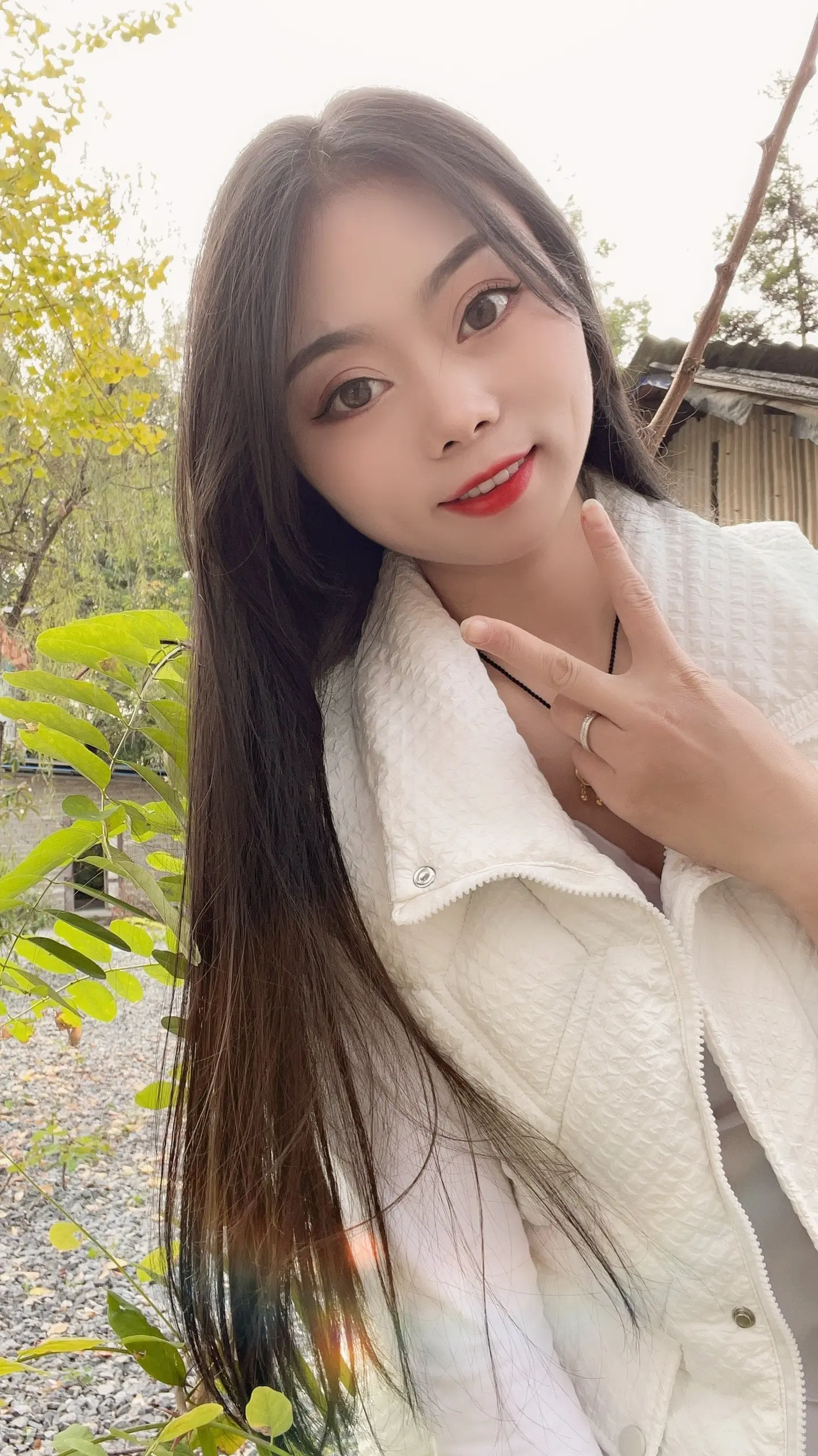 今天的风很温柔