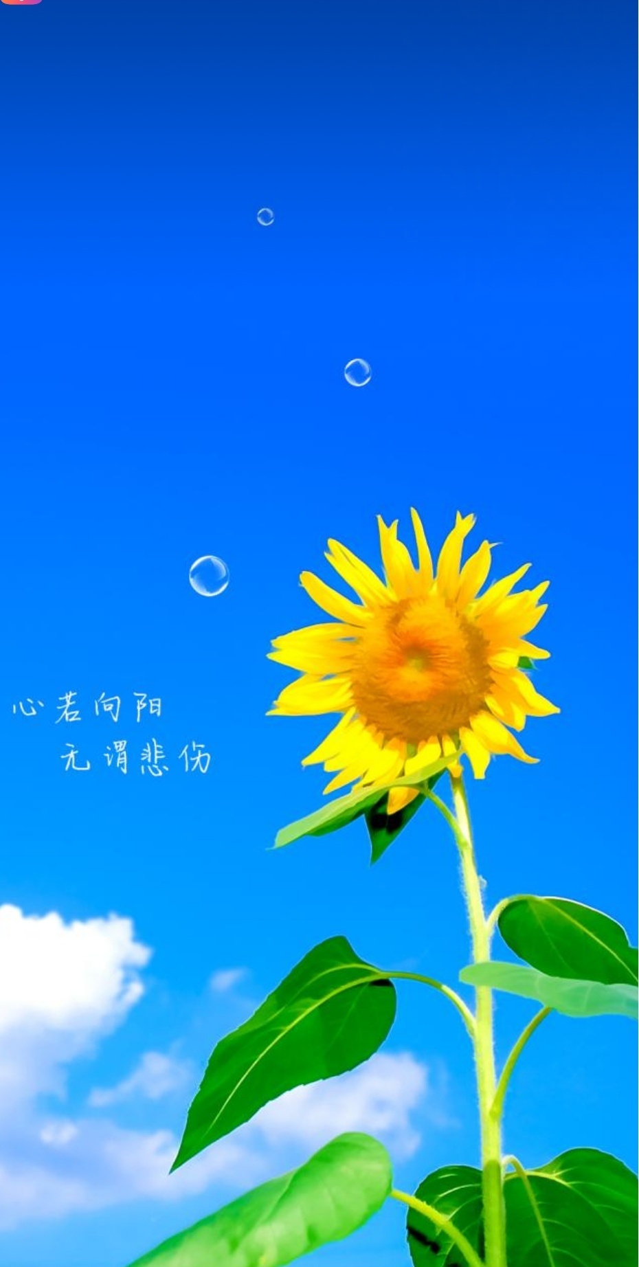 锦鲤丁丁不必事事争先，不用强迫自己迎合所有人的期待，允许疲惫，允许暂停。创作活力