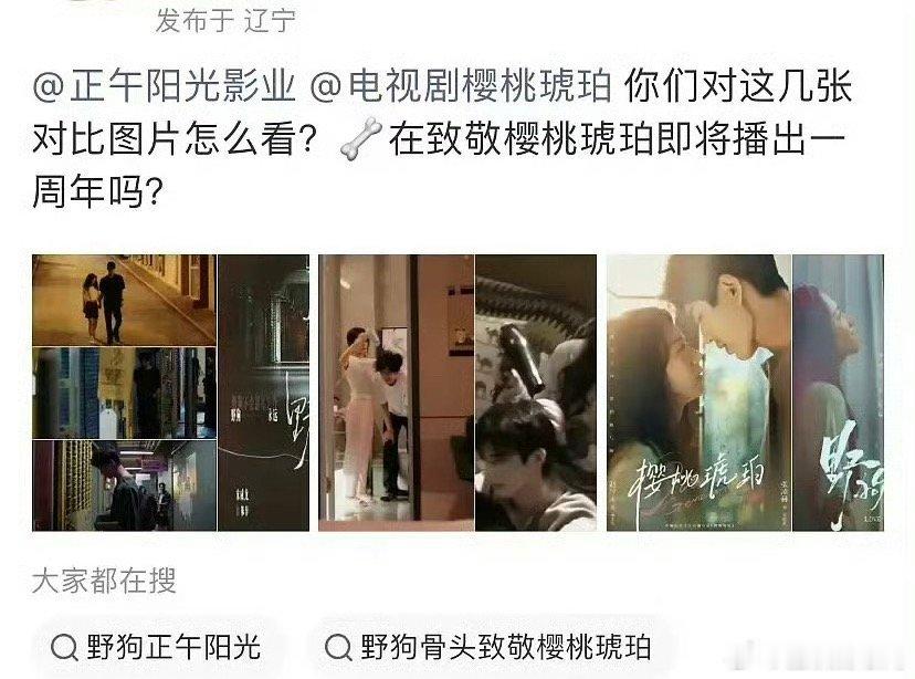 宋威龙、张婧仪主演的《野狗骨头》被指抄袭张凌赫、赵今麦主演的《樱桃琥珀》，大家觉