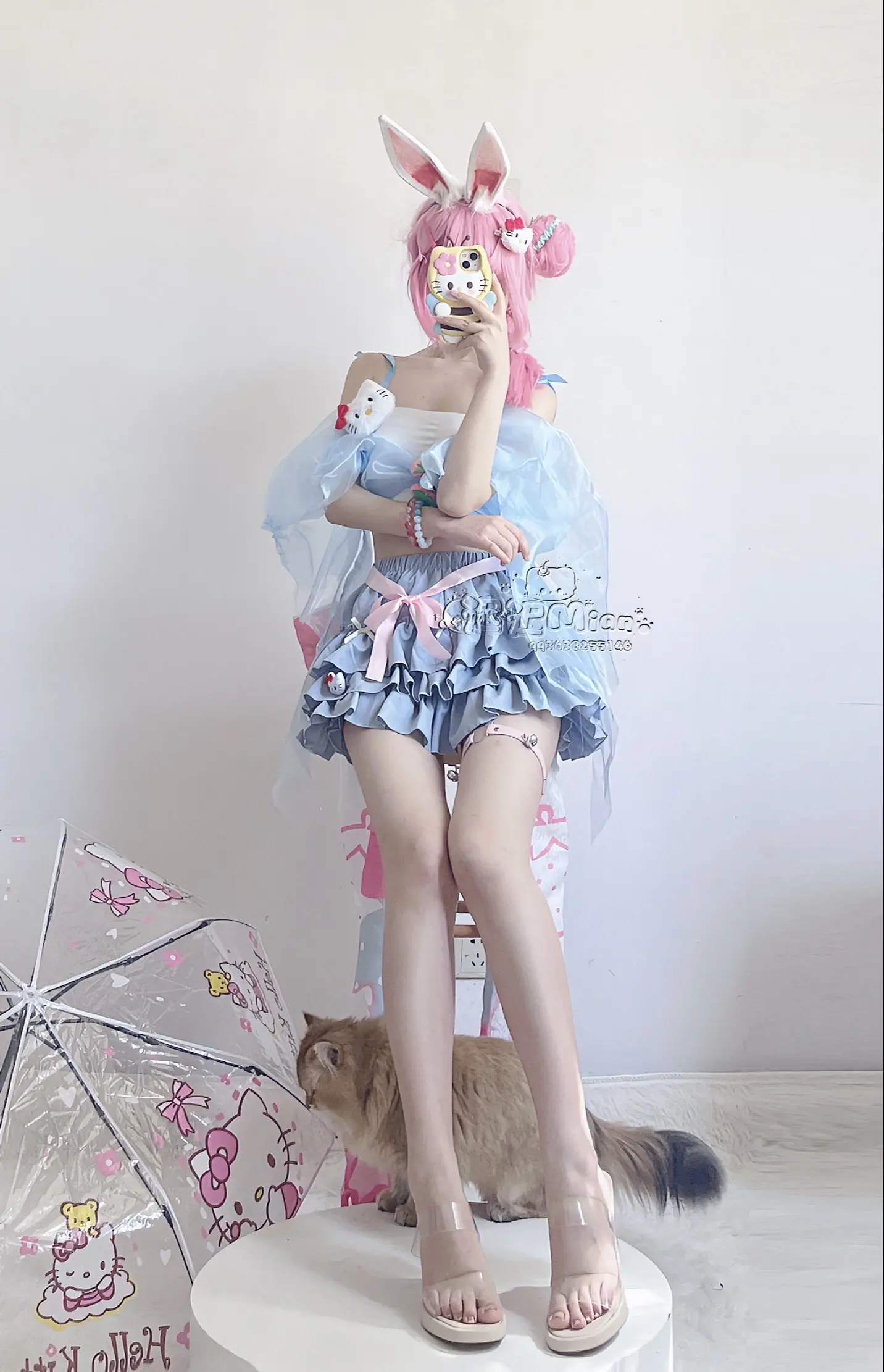 会永远爱我的小猫