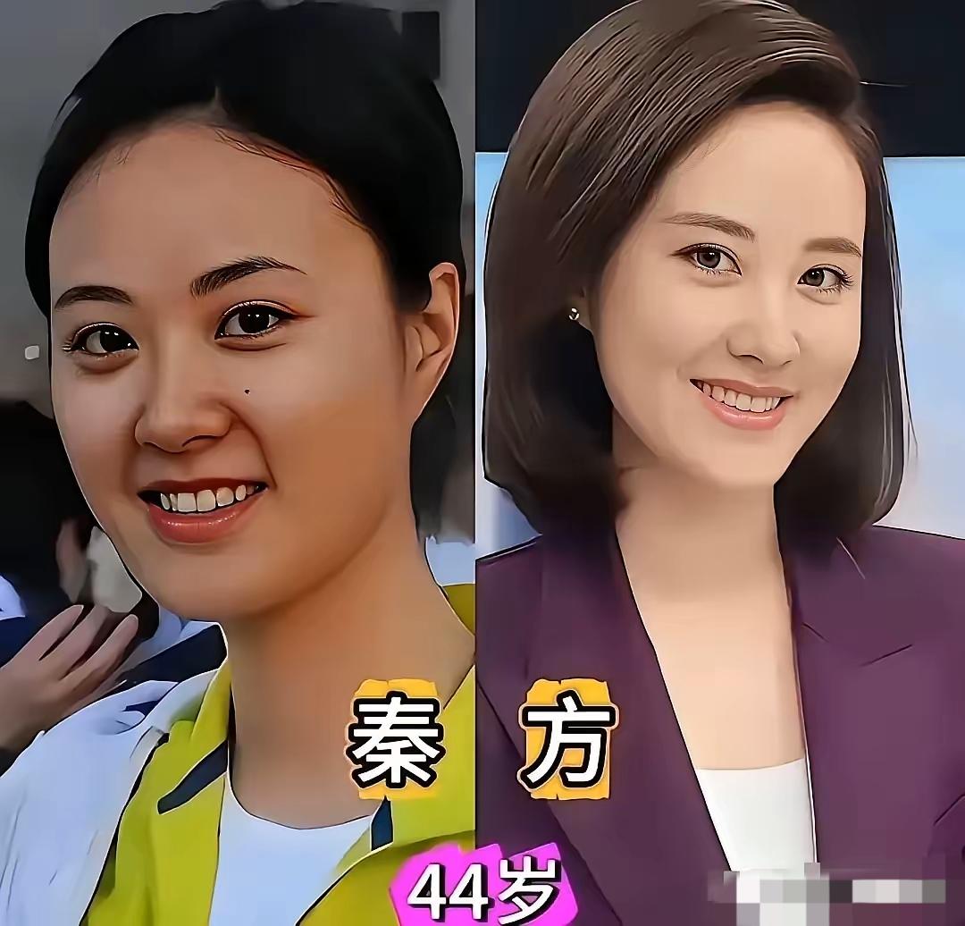 秦方好有气质
龙洋好有气质
周涛好有气质
三位央视女名嘴谈吐不凡，气质好好呀