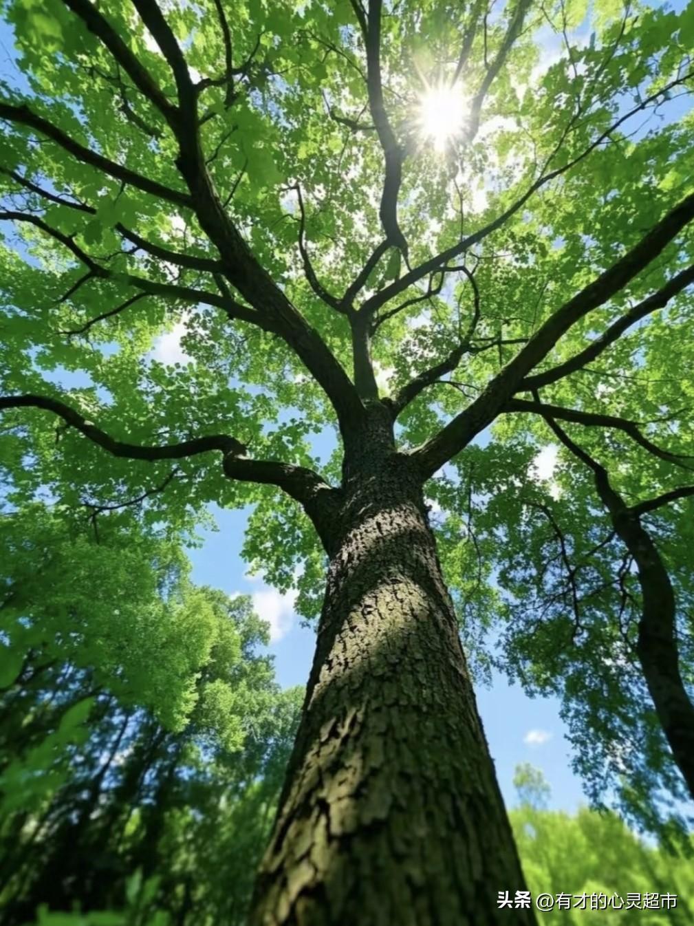 老电工的感悟：守得住底线，才站得稳脚跟！
 
      我曾是一名有着二十多年