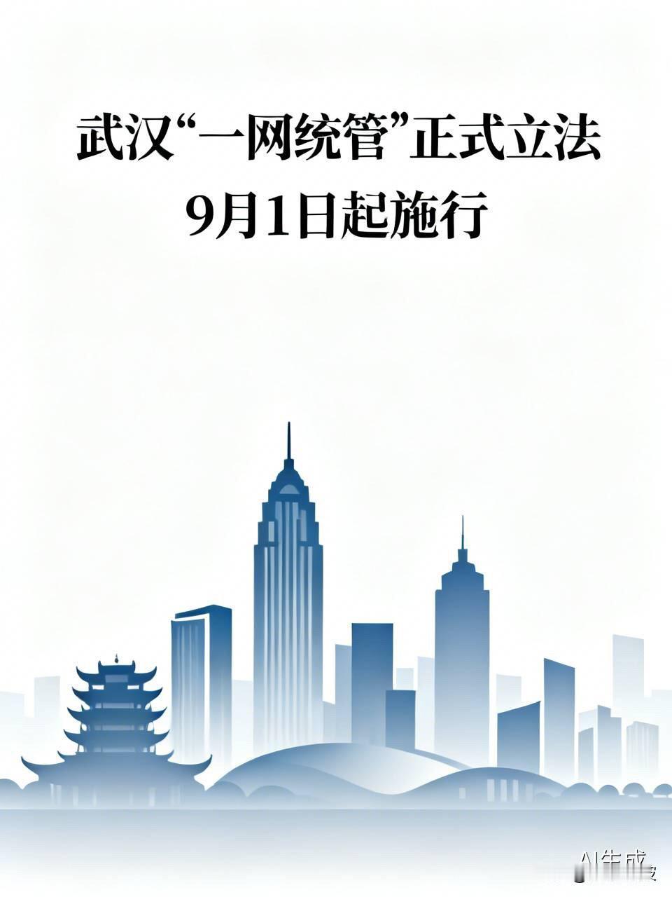 重磅！武汉“一网统管”正式立法，9月1日起施行！治理“九龙治水”有法可依

  