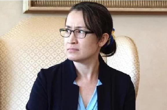 1月7日，箫美琴对媒体说:“大陆今天再次打压内政部刘世芳、教育部郑英耀(指两人被