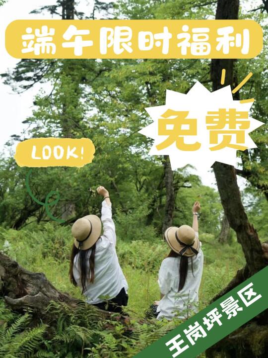 免费🔥端午限时福利！