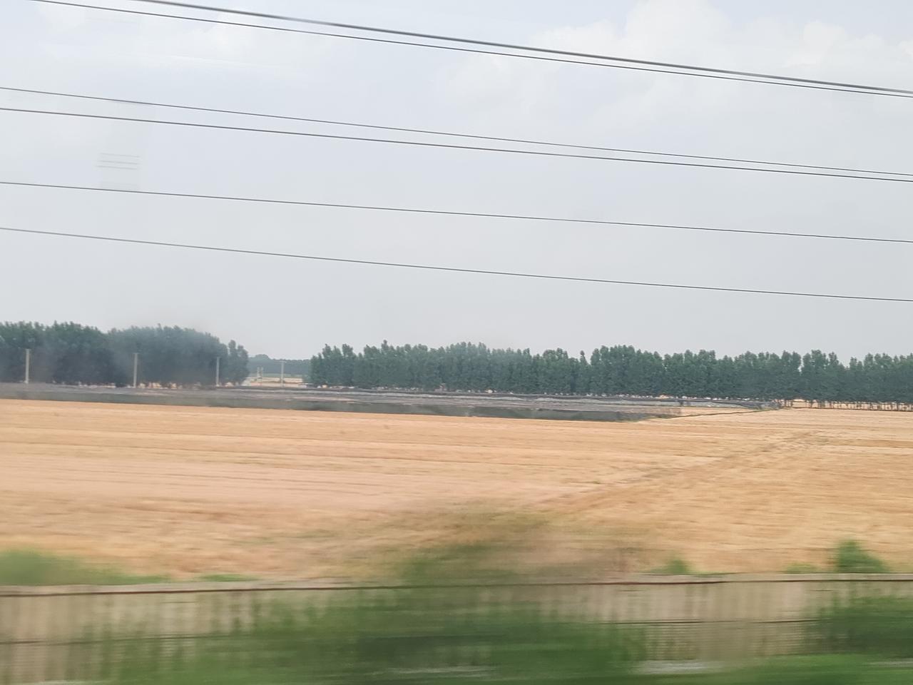 列车飞驰华北平原
一望无际的田野

麦田风光
也可以心旷神怡