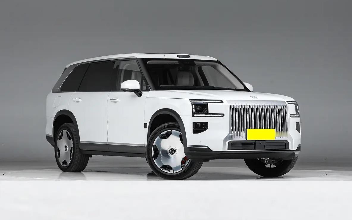 宁波湾“库里南”极氪9X大家都知道，现在是火热的不行，我看了一下刚过去的11月份