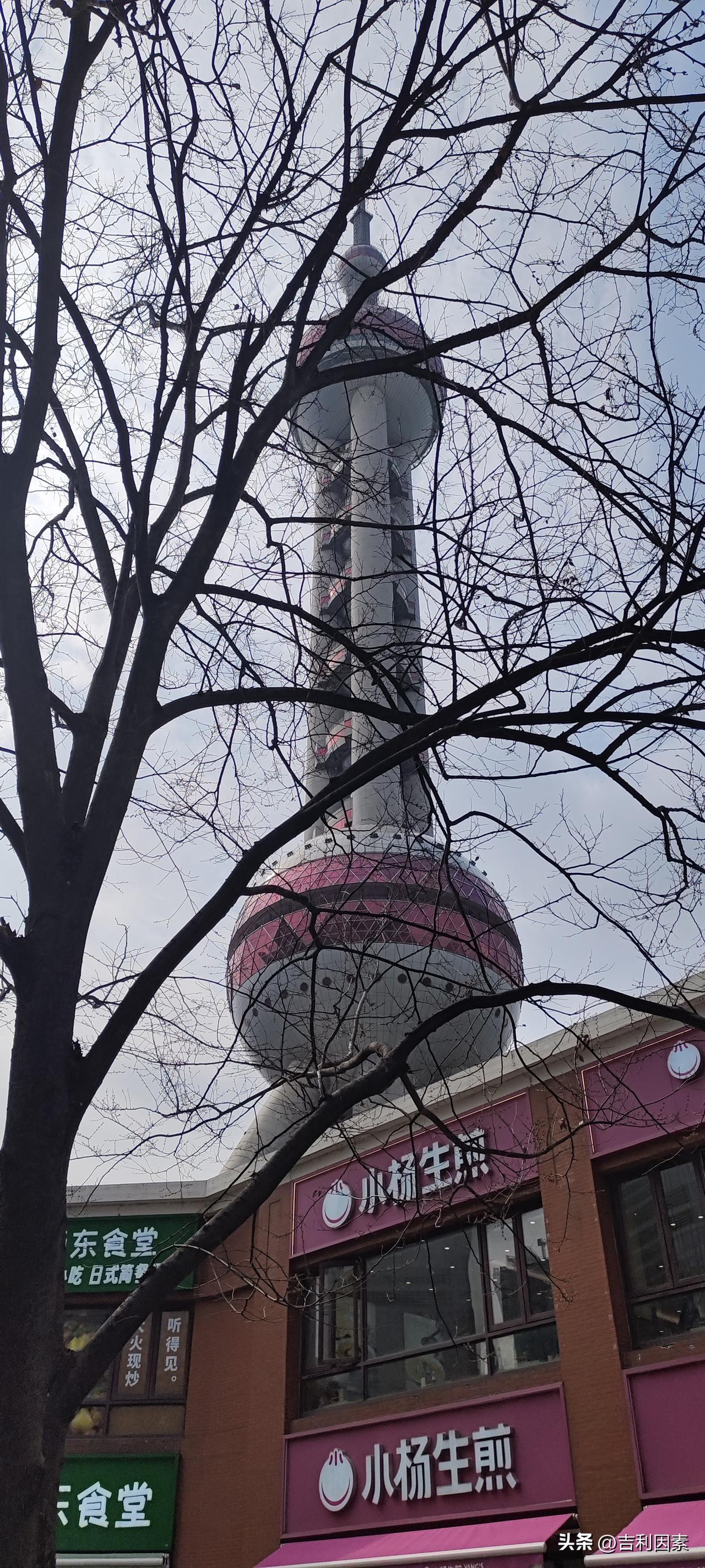 东方明珠塔的钱被谁赚去了？
到东方明珠塔去玩。网上预约要399一个人，小孩也要1