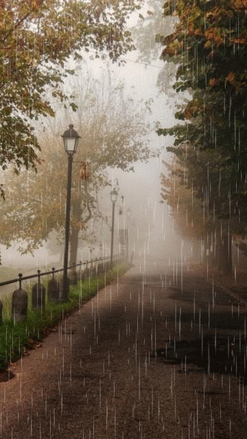 #上联：风吹东南西北，求下联#
上联，风吹东南西北，
下联，雨落四面八隅。