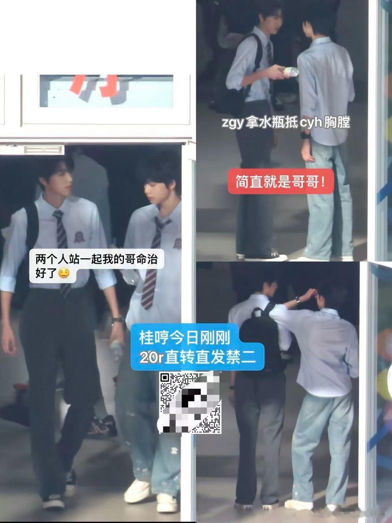 tg 张桂源陈奕恒路透 