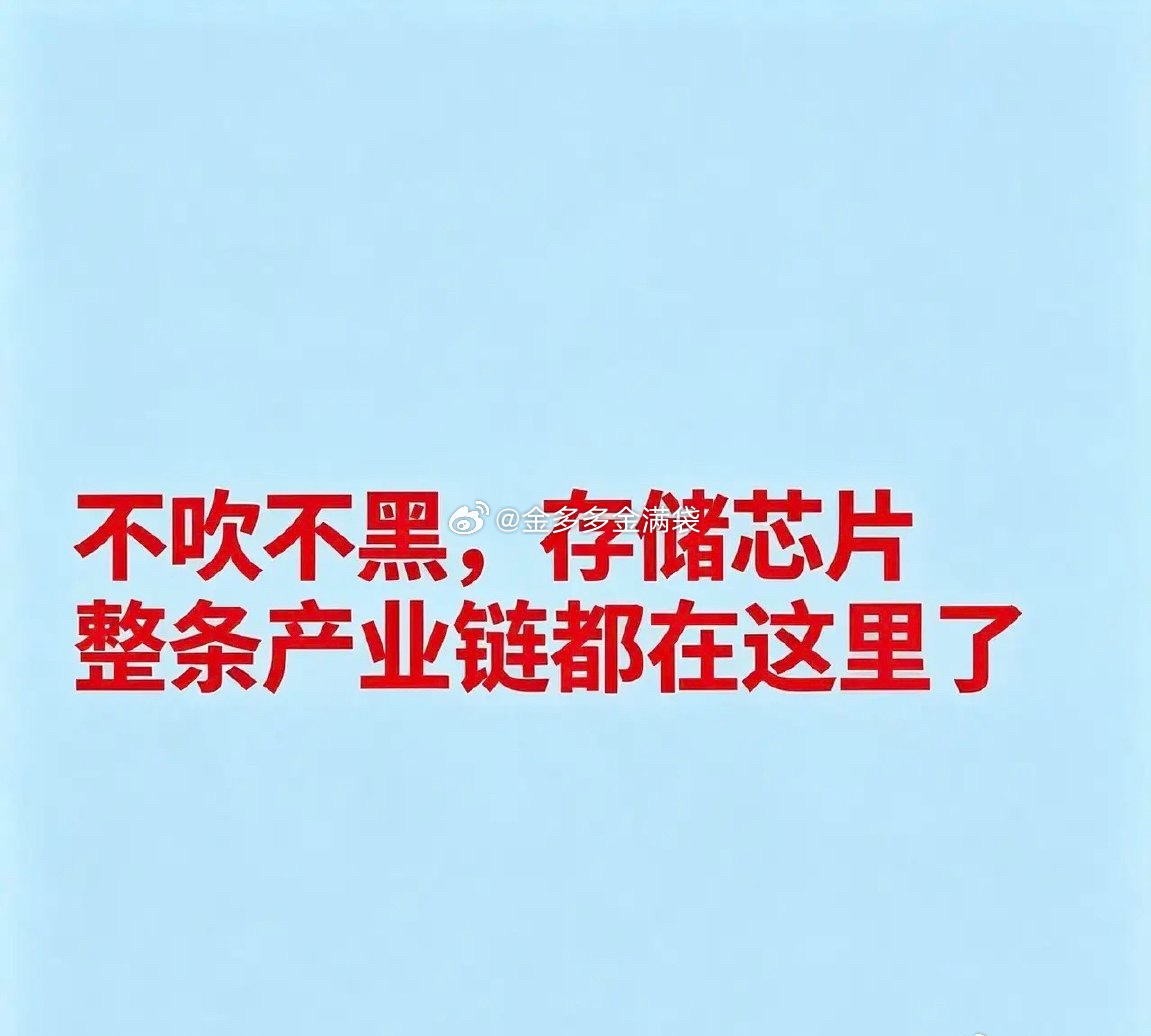 不吹不黑，存储芯片整条产业链都在这里了存储芯片三巨头（三星、SK海力士、美光）概