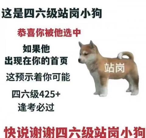 谢谢四六级站岗小狗 ​​​