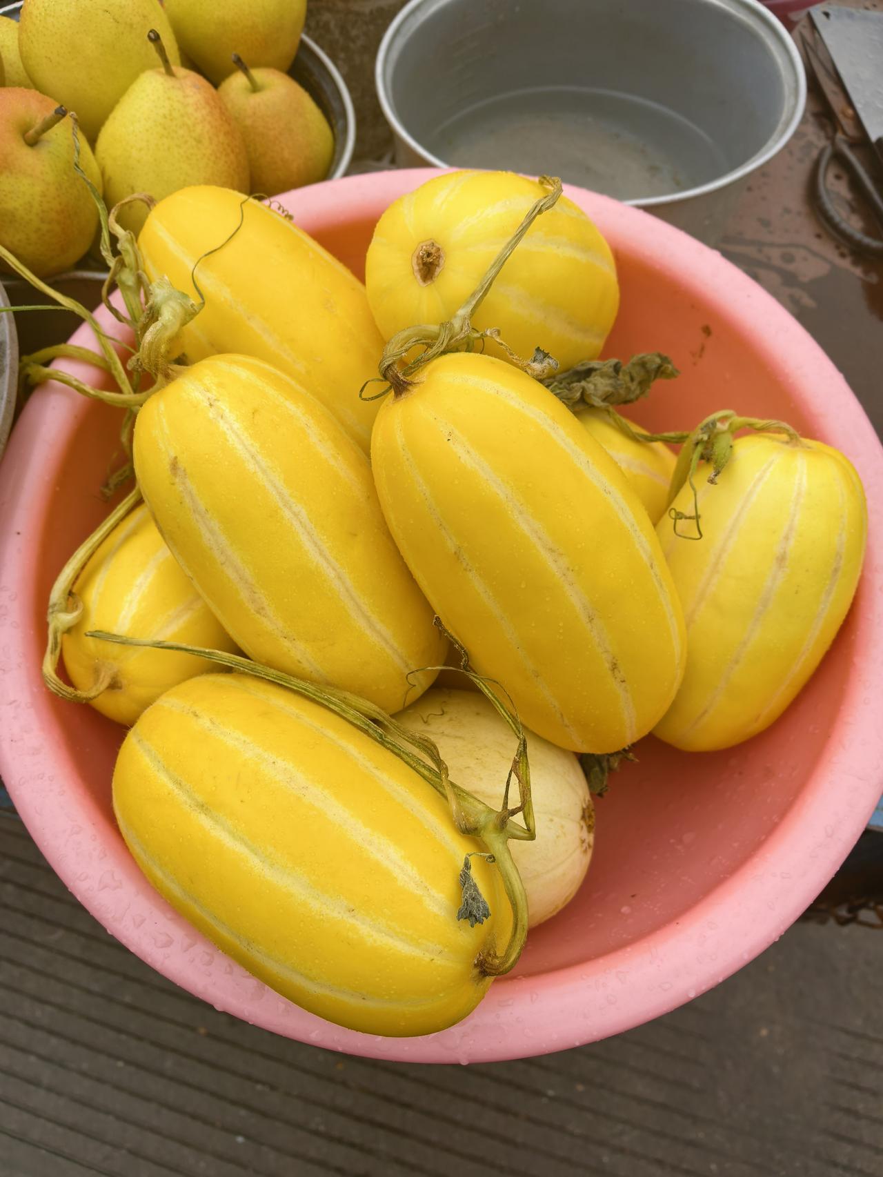 老了什么是你的底气知识、技能和格局都是你的底气。