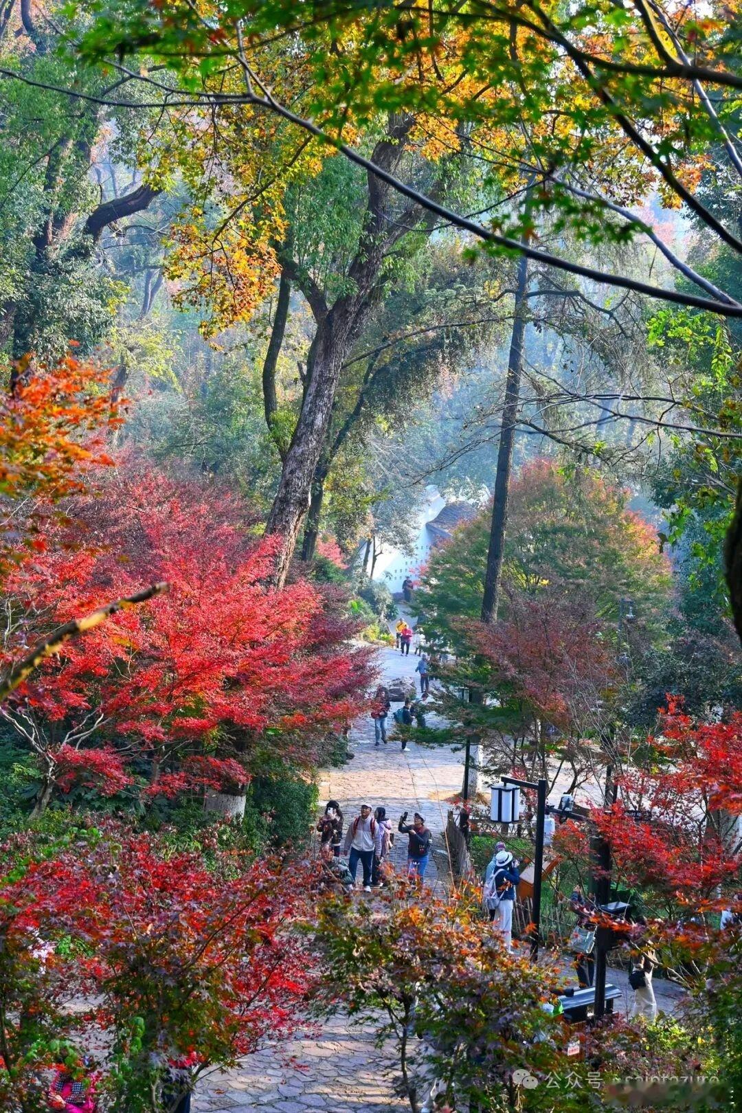 幽人忘机处，秋山见本心——赏孟浩然《登岘山寄张五》孟浩然的诗，从来不是浓墨重彩的