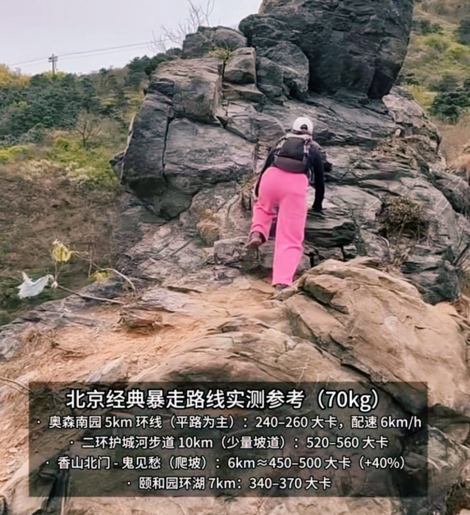 大码打工人出行暗备轻松好物背包选对，肩膀不累。内部有分隔，重量贴背分布。侧袋放水