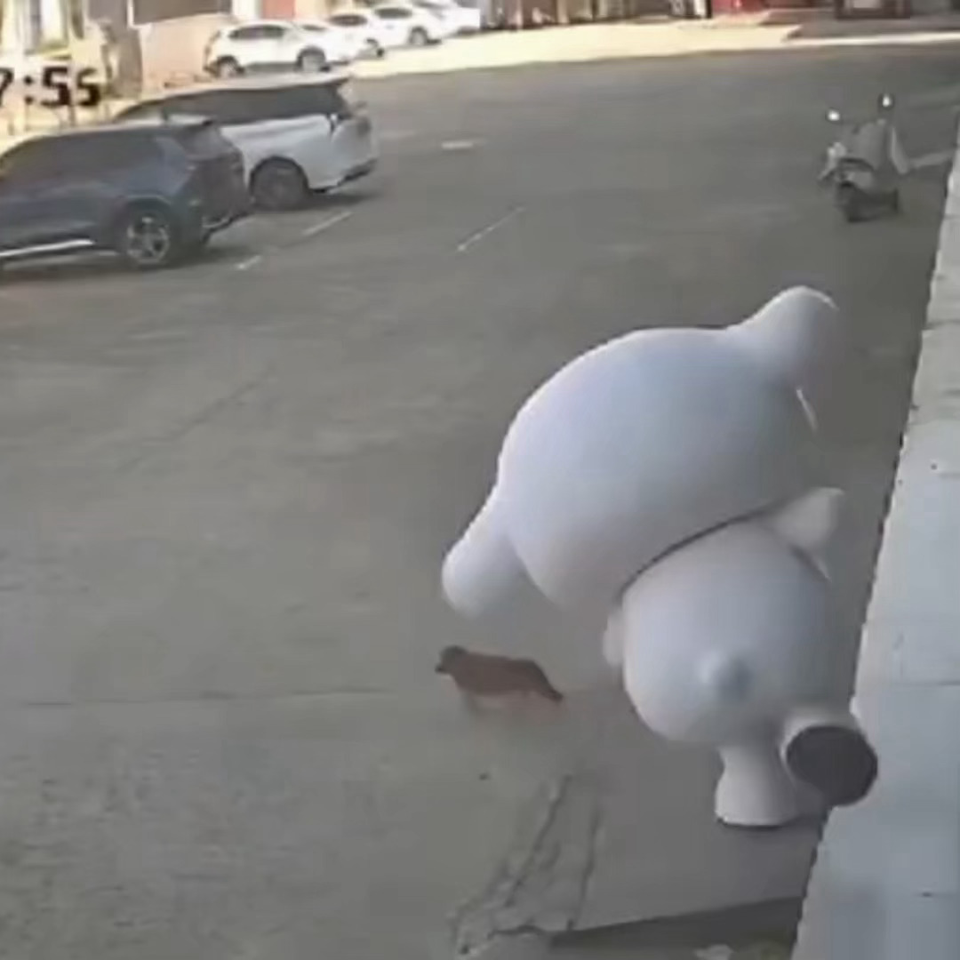 谁懂我看了几遍这个起身… 