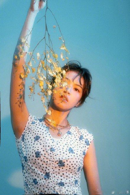 我的人生歌手们 