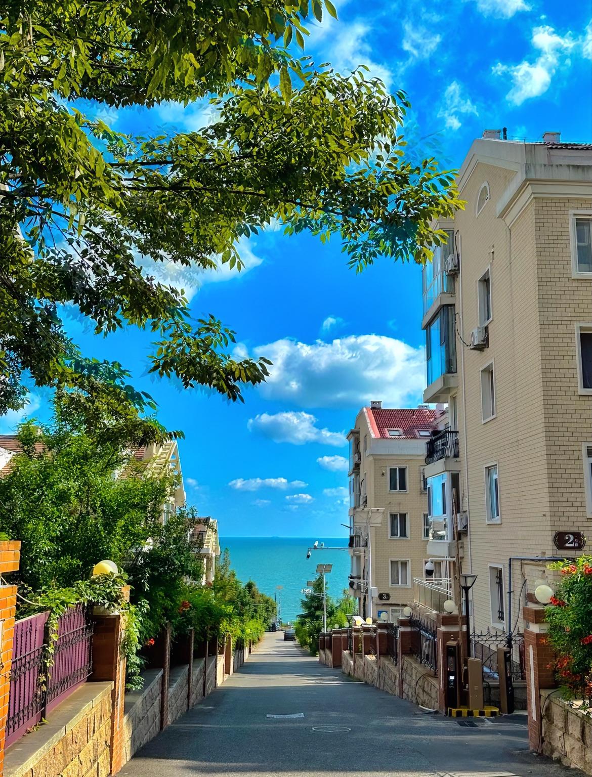 山东39岁的环卫张姐，清早扫街听到，绿化带里有哼唧声，

她扒开冬青丛一看，吓了