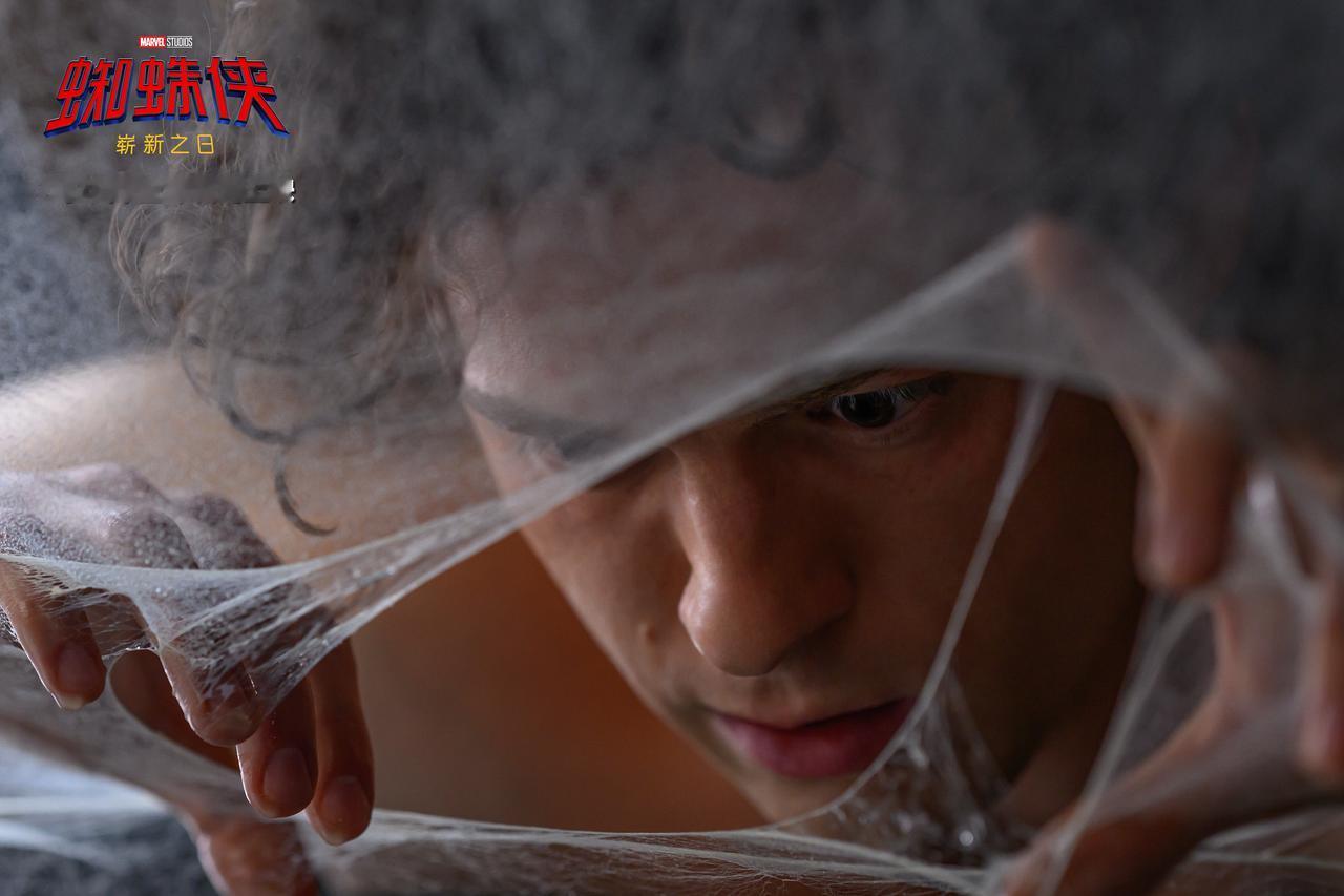 这不只是超英片，更是关于“人”的电影
 
蜘蛛侠的能力更强大了，但是也变得更加危