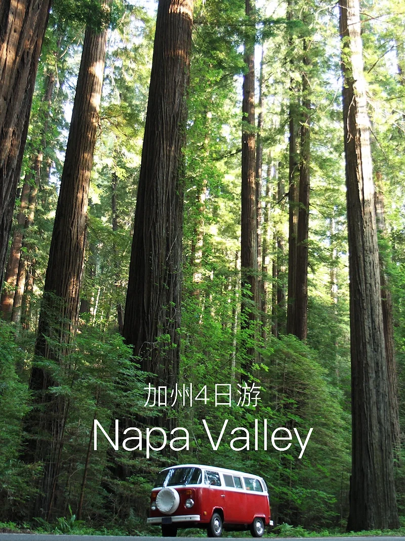 加州旅游｜Napa纳帕谷酒庄+國家公园4⃣️日游