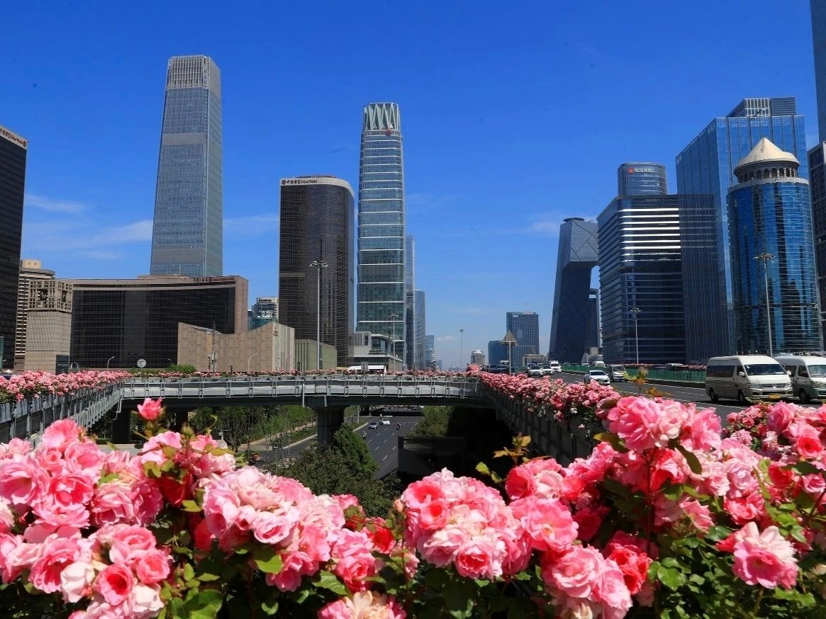 真正的英雄，不是改变世界而是改变自己生活的每一天。—— 项飙  
