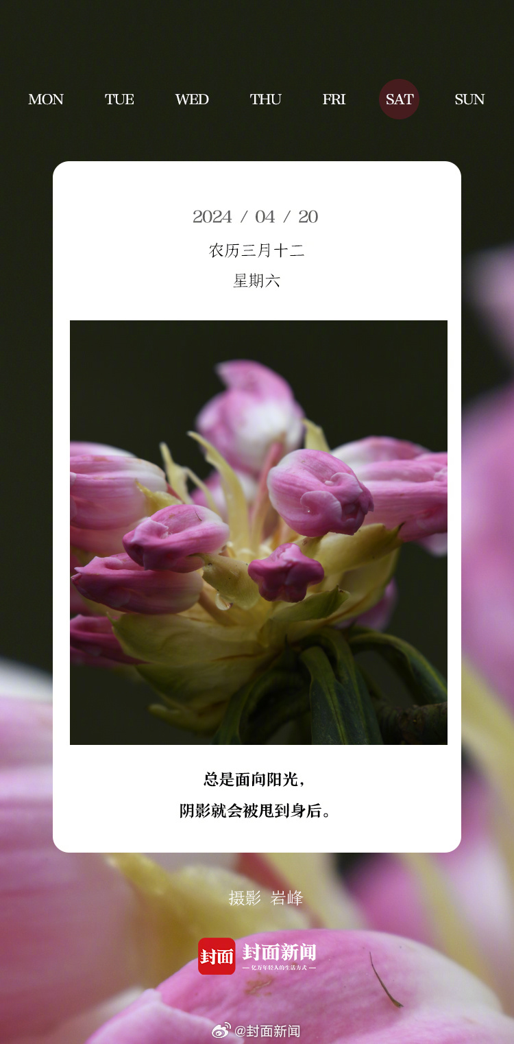 #小封日历# 今天周六~终于休息了，准备睡到几点起？[吹风车] ​​​