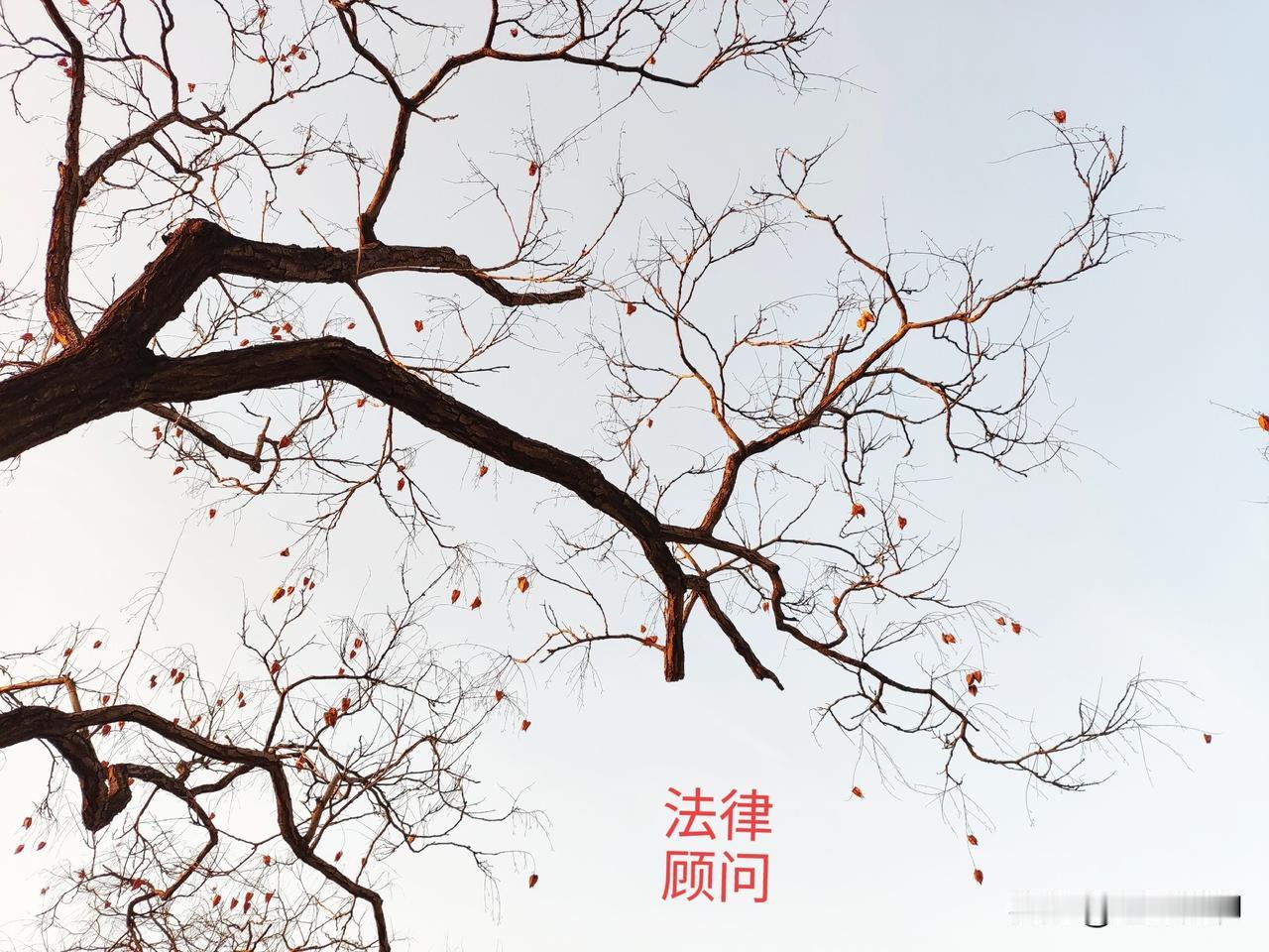 欧洲各国在美丽国大棒面前，显得百般无奈软弱无力的样子，说起来也不是今天的问题，这