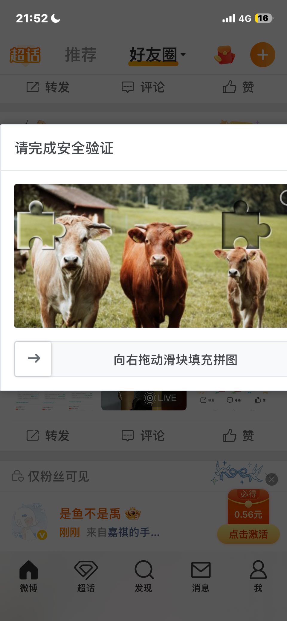 坏了这三头🐮又来了 