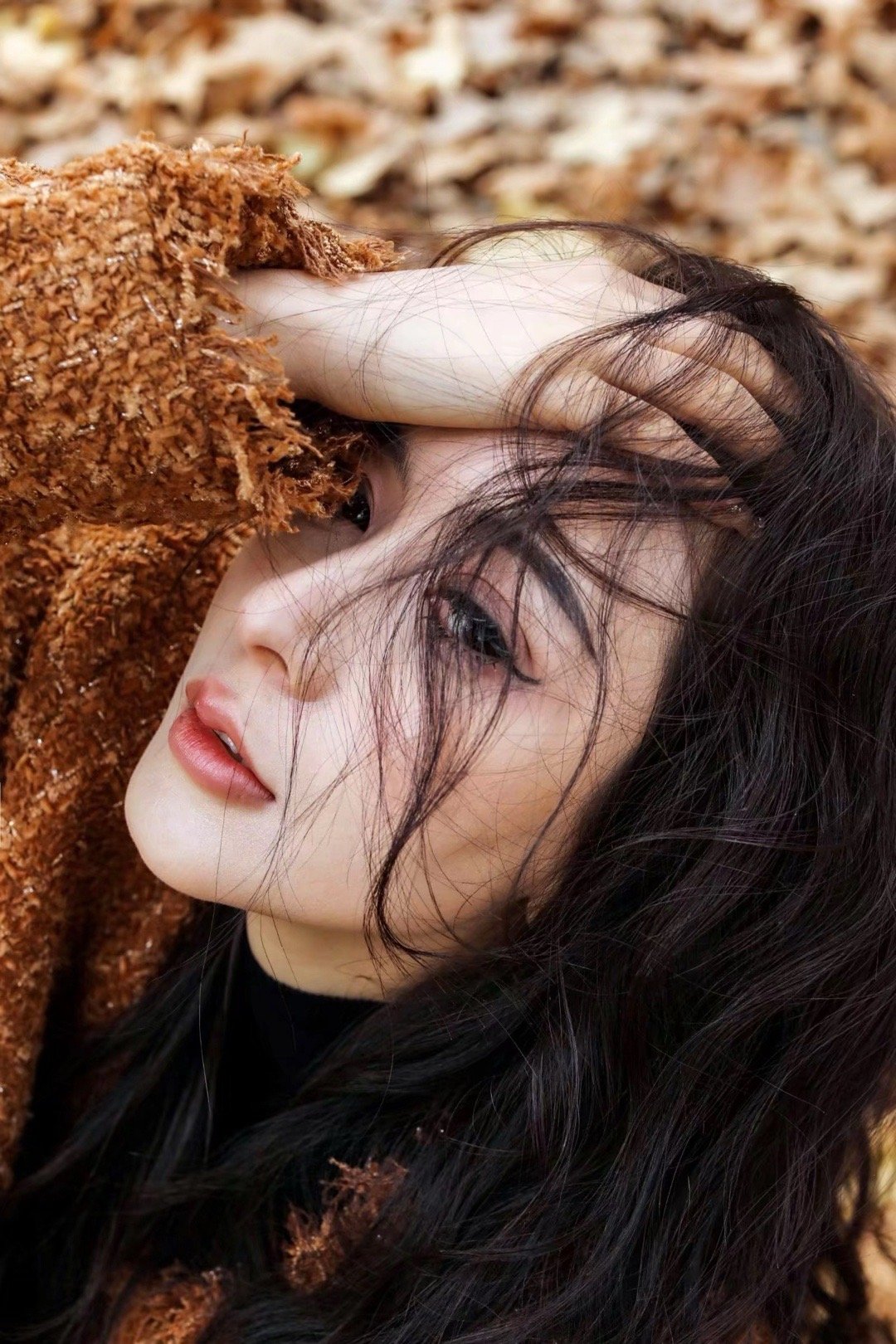 《属于这个冬天的浪漫序曲》