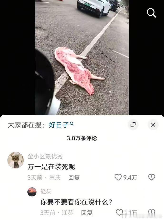 “万一是在装死呢” 