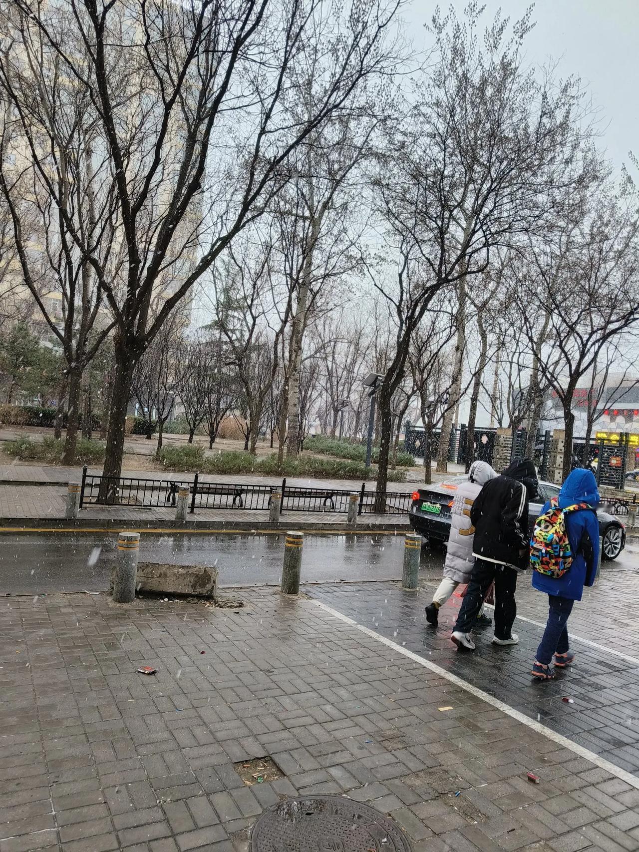 没想到，2025年后看到的第一场雪是在3月15号的春雪🌨️好大的雪花❄️啊，听
