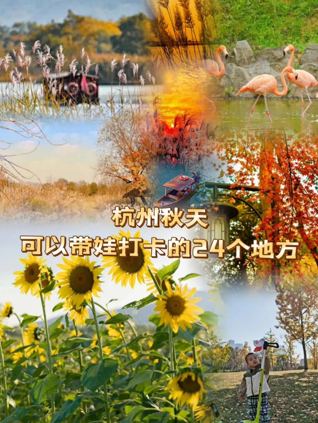 杭州遛娃丨秋天可以带娃打卡的24个绝美地方