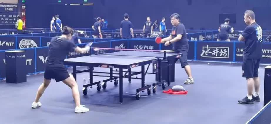 马琳对陈梦的宠爱可不是一天两天了。自从陈梦在力压王曼昱后成功获得奥运单打资格，马
