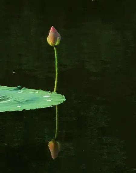 长沙这个吃剩食的女孩意外带火爸妈小摊，真的太暖了。女孩大口吃剩食，展现出的是好家