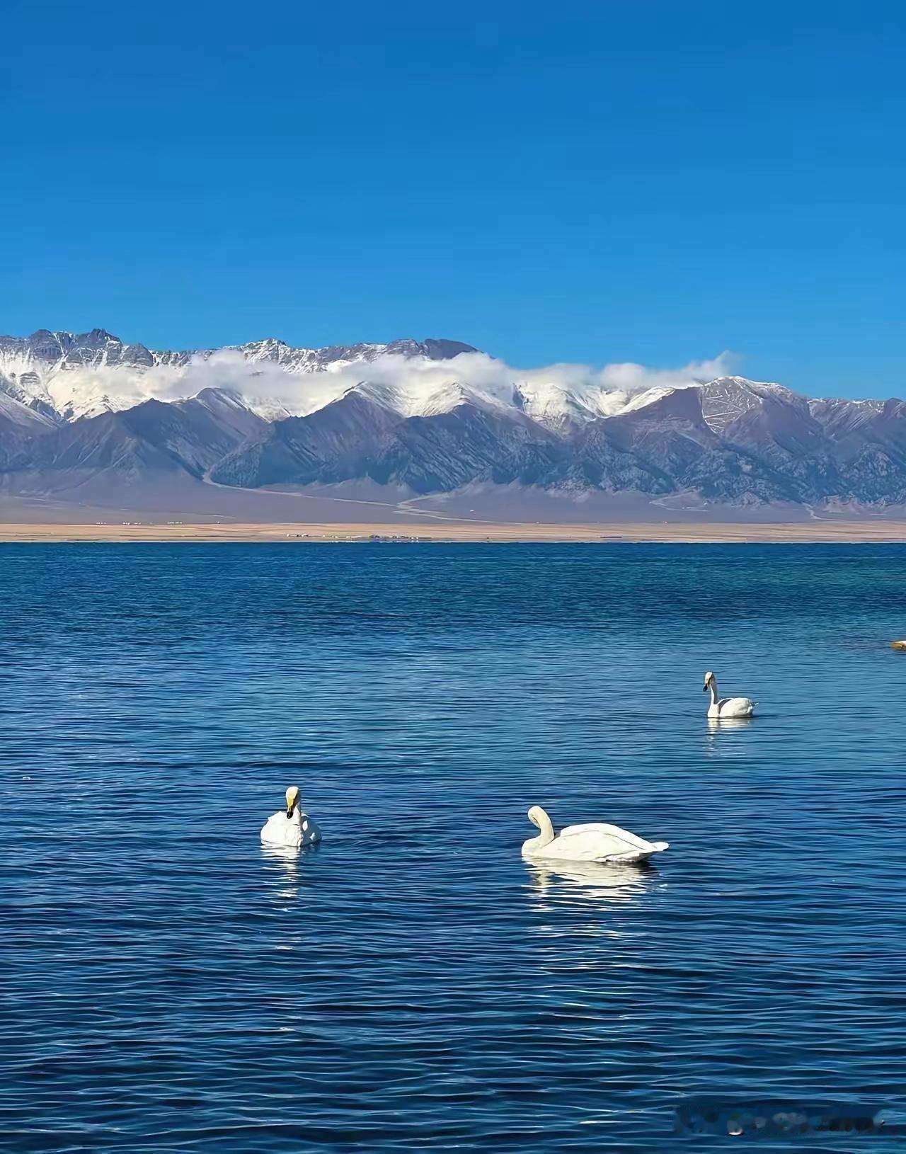 还在开燃油车的10类人，每一类都说到了心坎里！
 
还在开燃油车的基本就这10类