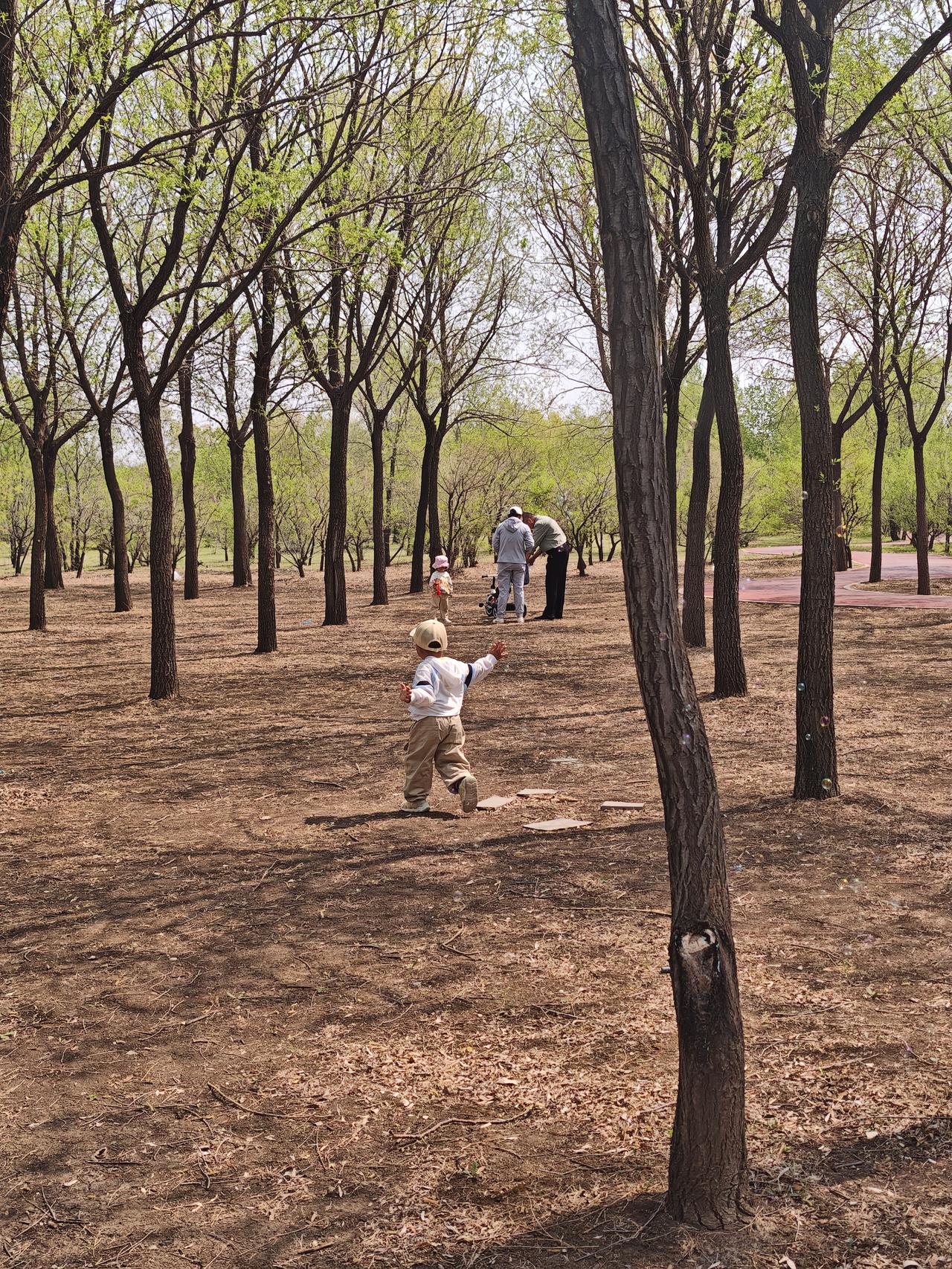 七律·游依安植物园
文/夏文辉

五月寻芳倚晴空，丛生福禄绽新容。
千株粉白摇清