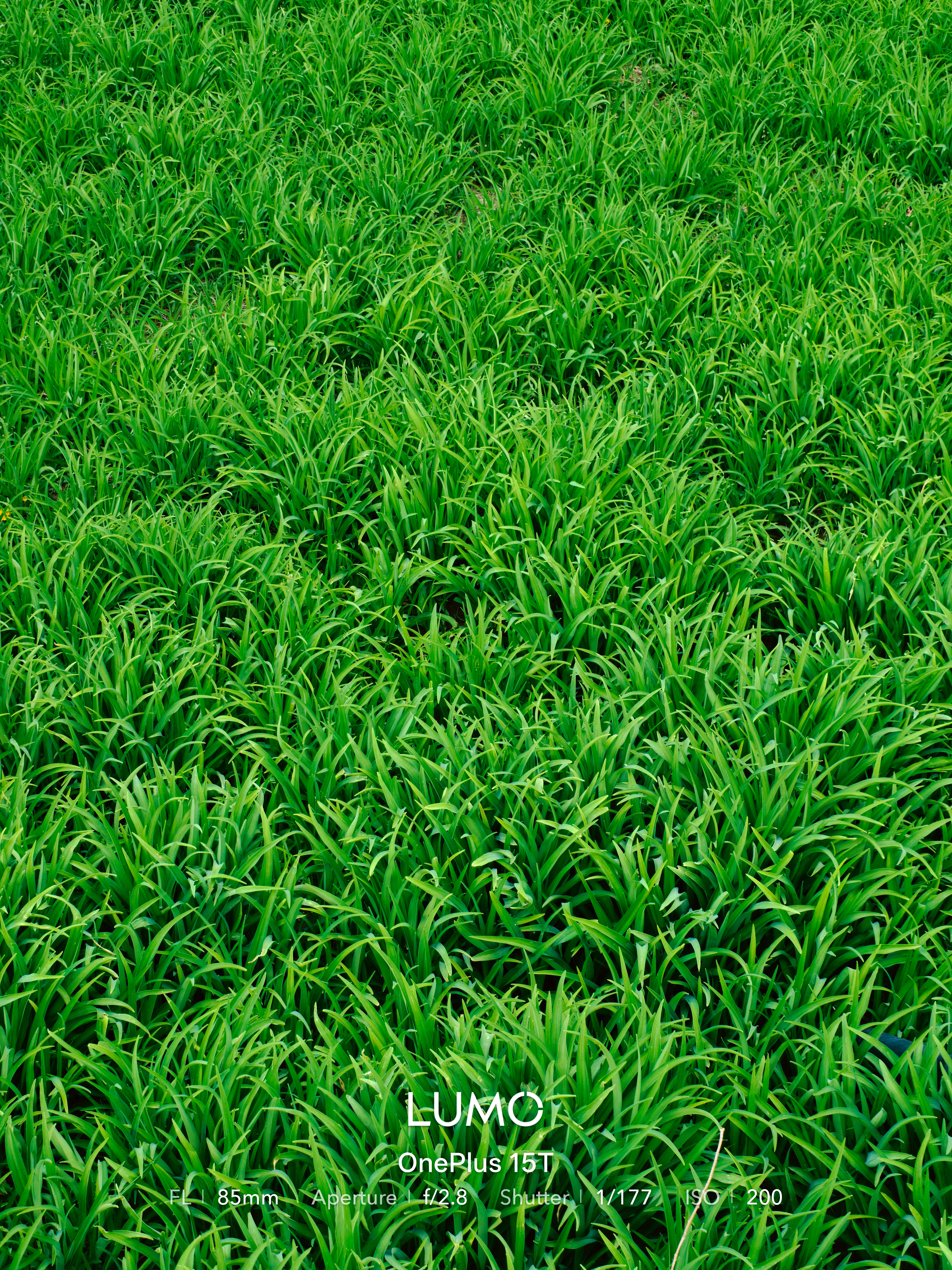 扫了一辆单车，戴着我的ECHO+EH11哼着『爱琴海』去湖边晃一晃～这是我的ED