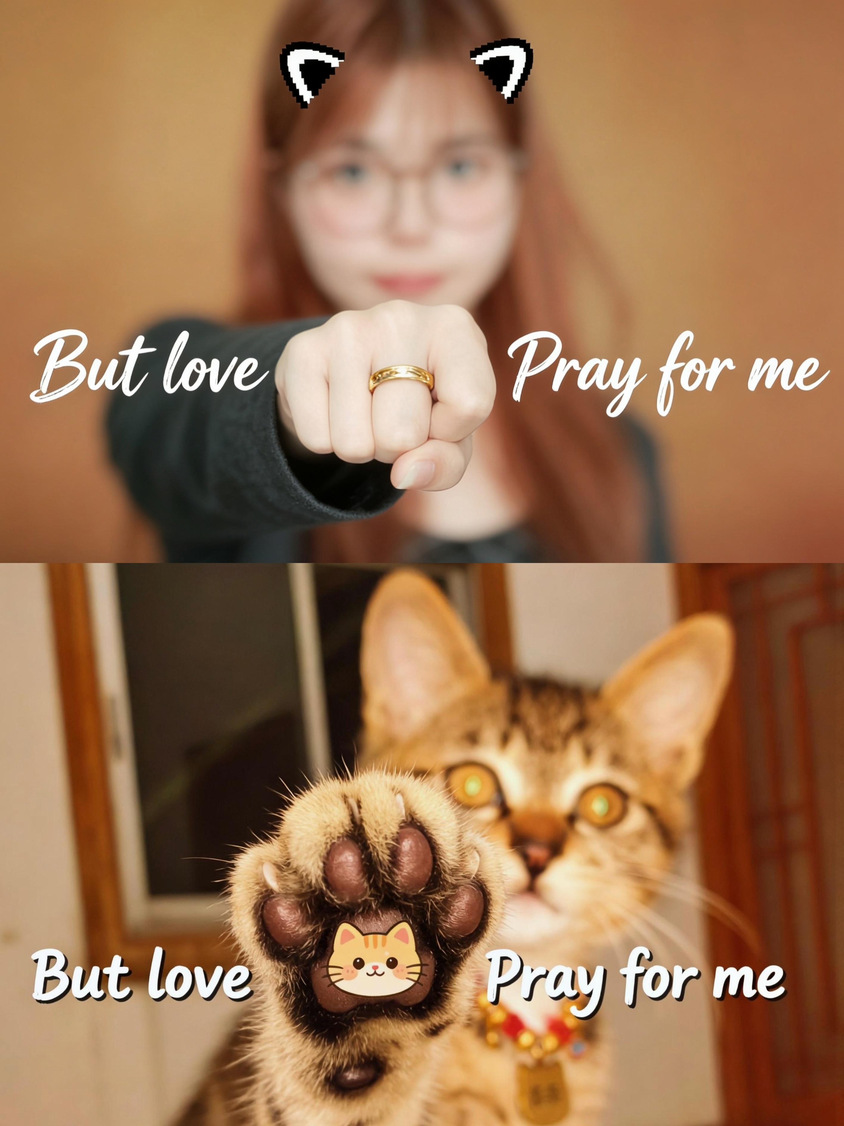 当我也想给小猫拍这个but love pray for me交给豆包就会得到 超