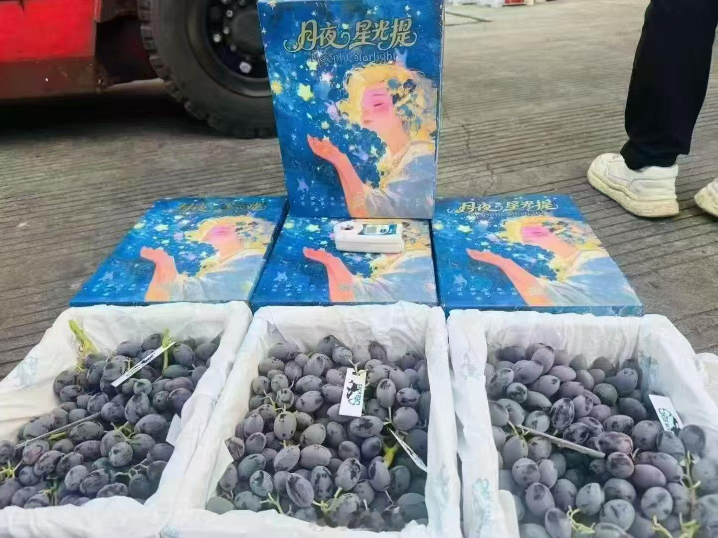 这个牌子的提子巨甜巨好吃[作揖]周六买了一箱5斤165块钱已经干完了[淡淡的][