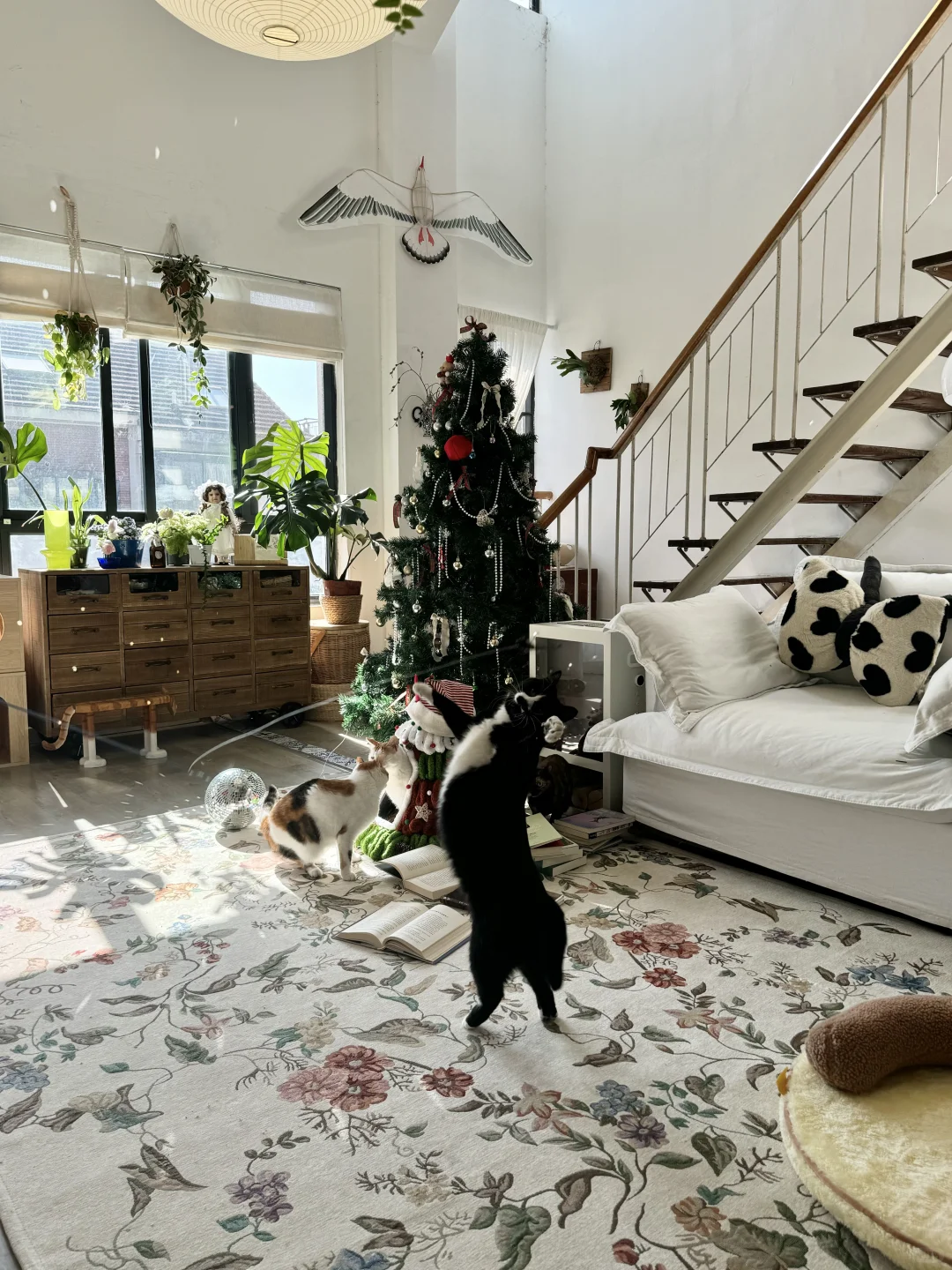 会为挤满阳光的清晨而短暂地原谅冬天