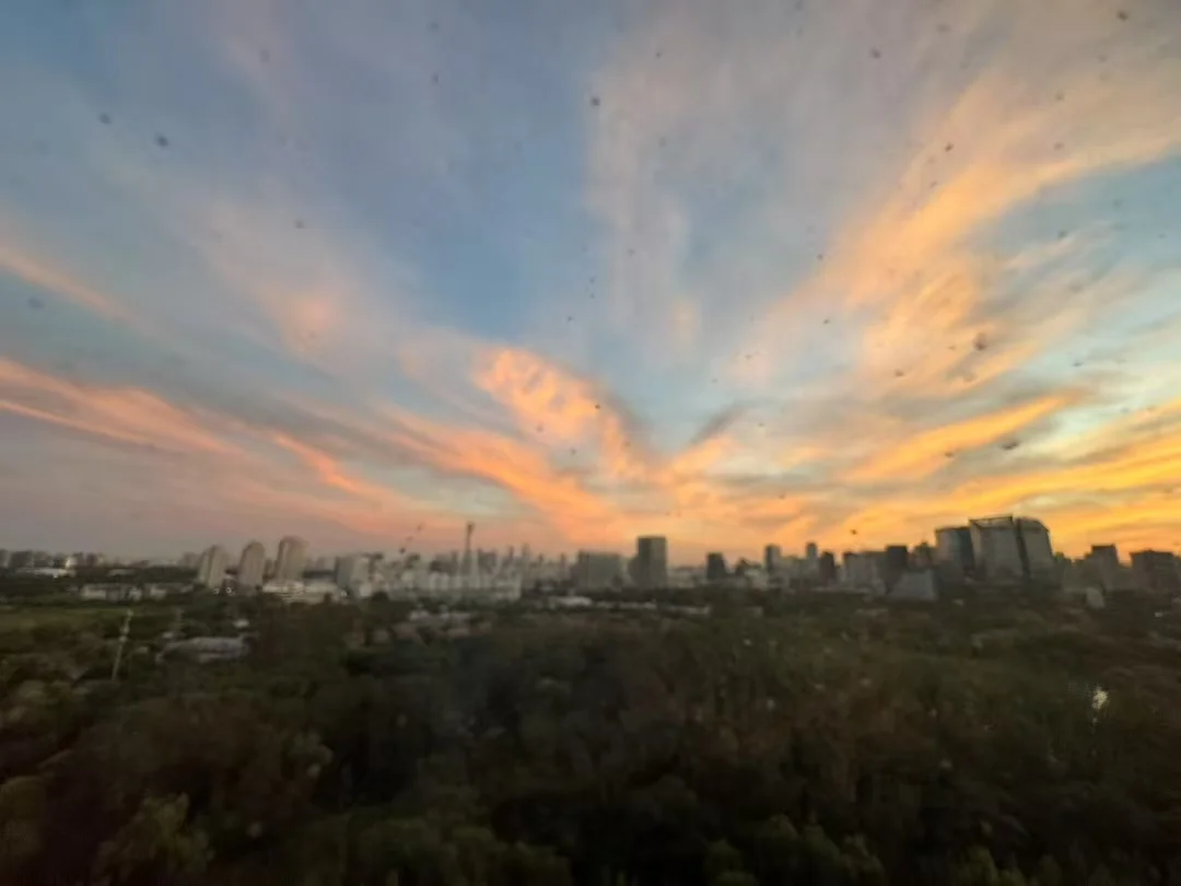 周六的碎碎念